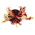 Sarracenia 'Mitchelliana'
